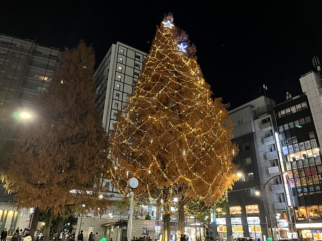 asagaya_christmastree.jpg