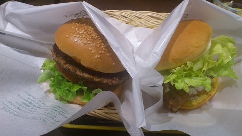 freshnessburger_TheBestTeriyakiChicken.jpg