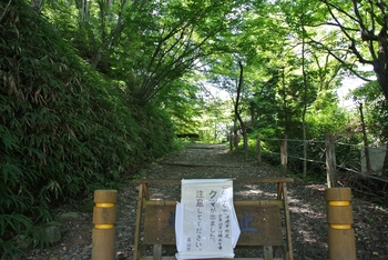 takayama3.jpg
